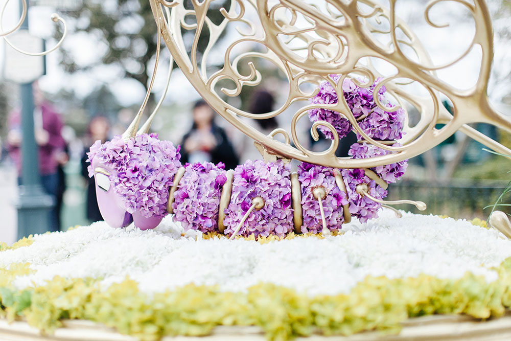 Disneyland spring 2016-3