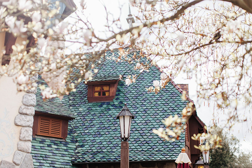 Disneyland spring 2016-5