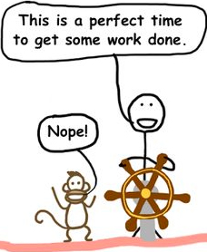 monkey-gratification