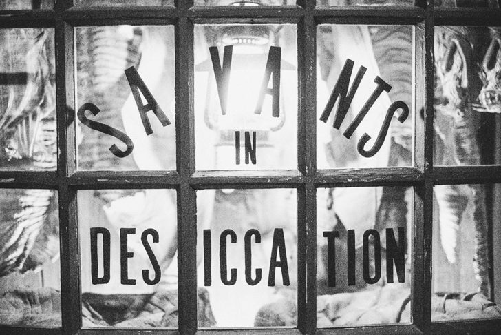 universal-studios-258