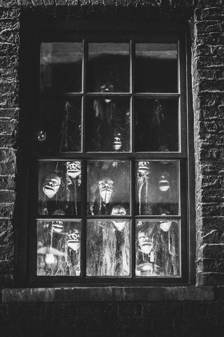 universal-studios-266