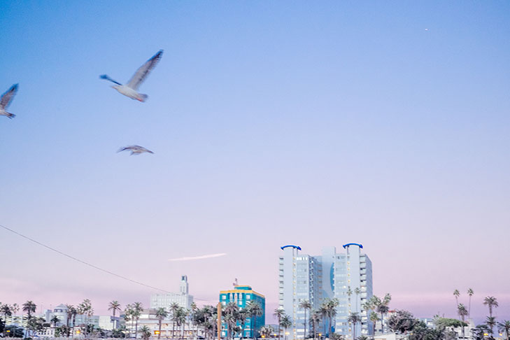 los-angeles-22