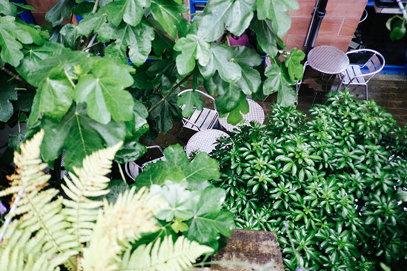 que faire à Glasgow