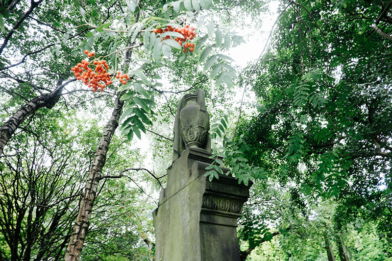 que faire à Glasgow