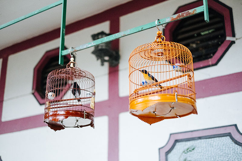 Voyage A Hong Kong Mong Kok 00014