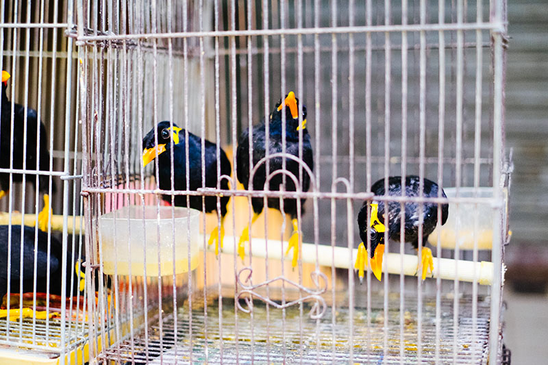 Voyage A Hong Kong Mong Kok 00015