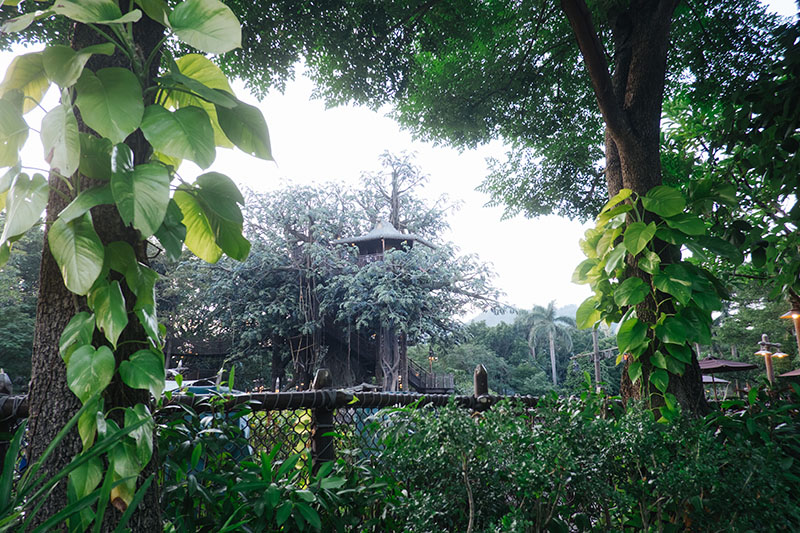 Voyage A Hong Kong Disneyland 00025