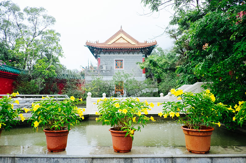 Voyage A Hong Kong Lantau Island 00012
