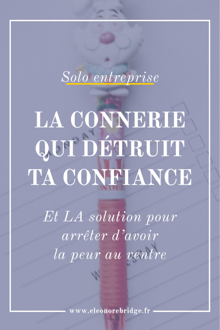 Solo Entreprise Connerie