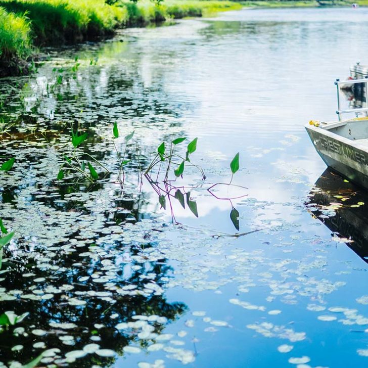 Une Semaine Nouvelle Ecosse 258