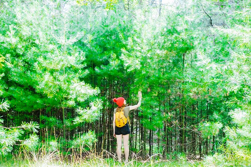 Une Semaine Nouvelle Ecosse 265