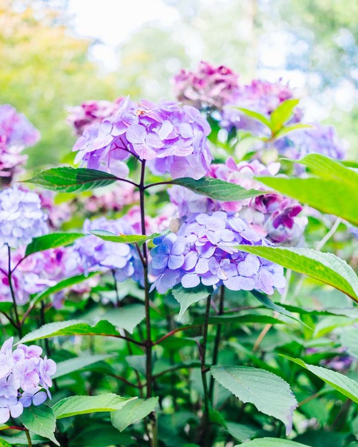 Une Semaine Nouvelle Ecosse 281