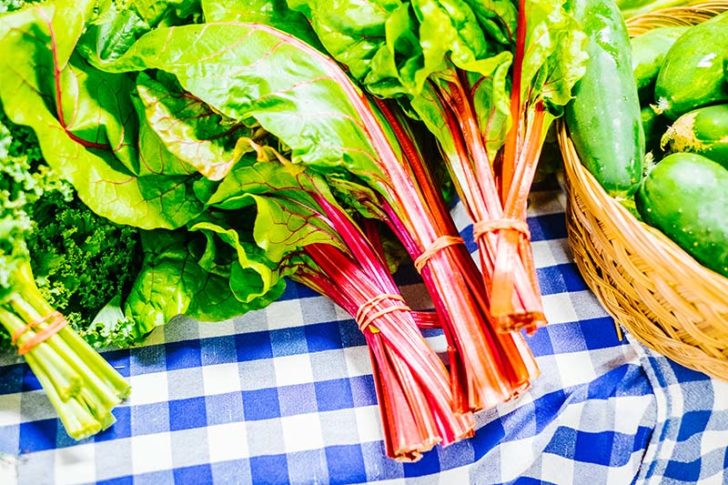 Une Semaine Nouvelle Ecosse 301