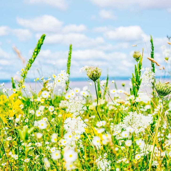 Une Semaine Nouvelle Ecosse 338