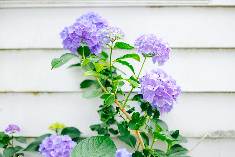 Une Semaine Nouvelle Ecosse 58